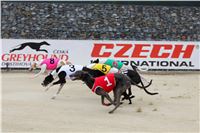 29_Chrti_dostihy_Greyhound_Racing_Park_Motol_Praha_Ceske_Derby_7956.JPG