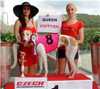 34_Chrti_dostihy_Greyhound_Racing_Park_Motol_Praha_Ceske_Derby_7985_v.JPG