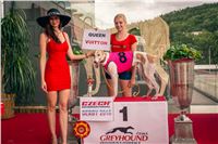 37_Chrti_dostihy_Greyhound_Racing_Park_Praha_Czech_International_Derby_2281.jpg