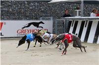 45_Chrti_dostihy_Greyhound_Racing_Park_Motol_Praha_Ceske_Derby_8009.JPG