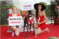 51_Chrti_dostihy_Greyhound_Racing_Park_Motol_Praha_Ceske_Derby_8043_upr.jpg