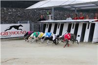 61_Chrti_dostihy_Greyhound_Racing_Park_Motol_Praha_Ceske_Derby_8117.JPG