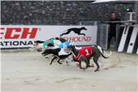 62_Chrti_dostihy_Greyhound_Racing_Park_Motol_Praha_Ceske_Derby_8118.JPG