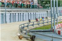 64_Chrti_dostihy_Greyhound_Racing_Park_Motol_Praha_Ceske_Derby_8120.jpg