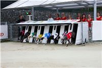 04_Chrti_dostihy_Greyhound_Racing_Park_Praha_Czech_International_Derby_Beh.jpg