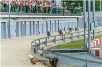 64_Chrti_dostihy_Greyhound_Racing_Park_Motol_Praha_Ceske_Derby_8_psu.jpg