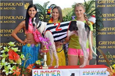 Chrt_dostihy_Greyhound_Racing_Park_Praha_CGDF_summer_prix_hawaii_2016_002.jpg