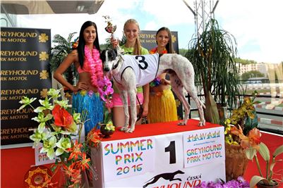 Chrt_dostihy_Greyhound_Racing_Park_Praha_CGDF_summer_prix_hawaii_2016_003.jpg