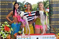 Chrt_dostihy_Greyhound_Racing_Park_Praha_CGDF_summer_prix_hawaii_2016_002.jpg