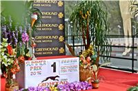 Chrt_dostihy_Greyhound_Racing_Park_Praha_CGDF_summer_prix_hawaii_2016_102.jpg