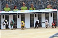 Chrt_dostihy_Greyhound_Racing_Park_Praha_CGDF_summer_prix_hawaii_2016_212.jpg