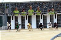 Chrt_dostihy_Greyhound_Racing_Park_Praha_CGDF_summer_prix_hawaii_2016_214.jpg