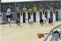 Chrt_dostihy_Greyhound_Racing_Park_Praha_CGDF_summer_prix_hawaii_2016_217.jpg