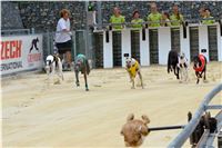 Chrt_dostihy_Greyhound_Racing_Park_Praha_CGDF_summer_prix_hawaii_2016_218.jpg