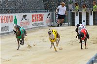 Chrt_dostihy_Greyhound_Racing_Park_Praha_CGDF_summer_prix_hawaii_2016_221.jpg