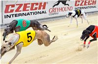 Chrt_dostihy_Greyhound_Racing_Park_Praha_CGDF_summer_prix_hawaii_2016_224.jpg