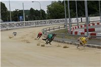 Chrt_dostihy_Greyhound_Racing_Park_Praha_CGDF_summer_prix_hawaii_2016_236.jpg