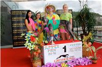 Chrt_dostihy_Greyhound_Racing_Park_Praha_CGDF_summer_prix_hawaii_2016_309.jpg