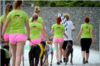 Chrt_dostihy_Greyhound_Racing_Park_Praha_CGDF_summer_prix_hawaii_2016_410.jpg