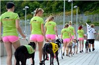 Chrt_dostihy_Greyhound_Racing_Park_Praha_CGDF_summer_prix_hawaii_2016_411.jpg