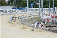 Chrt_dostihy_Greyhound_Racing_Park_Praha_CGDF_summer_prix_hawaii_2016_434.jpg