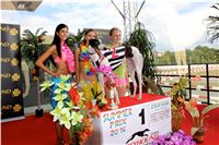 Chrt_dostihy_Greyhound_Racing_Park_Praha_CGDF_summer_prix_hawaii_2016_509.jpg