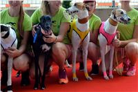 Chrt_dostihy_Greyhound_Racing_Park_Praha_CGDF_summer_prix_hawaii_2016_606.jpg