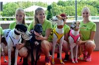 Chrt_dostihy_Greyhound_Racing_Park_Praha_CGDF_summer_prix_hawaii_2016_609.jpg