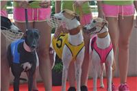 Chrt_dostihy_Greyhound_Racing_Park_Praha_CGDF_summer_prix_hawaii_2016_619.jpg