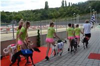 Chrt_dostihy_Greyhound_Racing_Park_Praha_CGDF_summer_prix_hawaii_2016_625.jpg