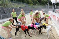 Chrt_dostihy_Greyhound_Racing_Park_Praha_CGDF_summer_prix_hawaii_2016_684.jpg