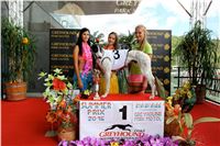 Chrt_dostihy_Greyhound_Racing_Park_Praha_CGDF_summer_prix_hawaii_2016_702.jpg