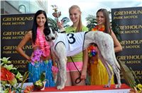 Chrt_dostihy_Greyhound_Racing_Park_Praha_CGDF_summer_prix_hawaii_2016_704.jpg