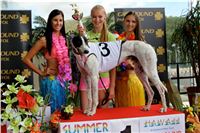 Chrt_dostihy_Greyhound_Racing_Park_Praha_CGDF_summer_prix_hawaii_2016_706.jpg