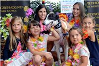 Chrt_dostihy_Greyhound_Racing_Park_Praha_CGDF_summer_prix_hawaii_2016_709.jpg
