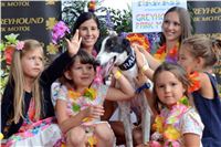 Chrt_dostihy_Greyhound_Racing_Park_Praha_CGDF_summer_prix_hawaii_2016_710.jpg