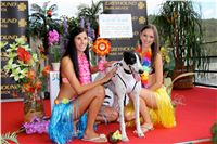 Chrt_dostihy_Greyhound_Racing_Park_Praha_CGDF_summer_prix_hawaii_2016_713.jpg
