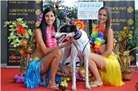 Chrt_dostihy_Greyhound_Racing_Park_Praha_CGDF_summer_prix_hawaii_2016_716.jpg