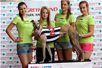 001_07_Chrti_dostihy_Greyhound_Racing_Park_Praha_Bookmakers_CuP_IMG_9962.jpg