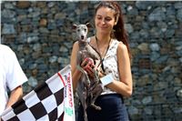 01_Chrti_dostihy_Greyhound_Racing_Park_Praha_Bookmakers_CuP_IMG_9844.jpg