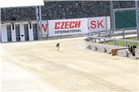 01_Chrti_dostihy_Greyhound_Racing_Park_Praha_Bookmakers_CuP_IMG_9851.jpg