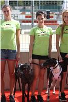 02_Chrti_dostihy_Greyhound_Racing_Park_Praha_Bookmakers_CuP_IMG_9868.jpg