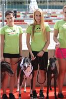 02_Chrti_dostihy_Greyhound_Racing_Park_Praha_Bookmakers_CuP_IMG_9869.jpg