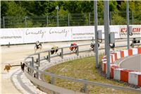 02_Chrti_dostihy_Greyhound_Racing_Park_Praha_Bookmakers_CuP_IMG_9883.jpg