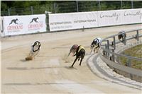 02_Chrti_dostihy_Greyhound_Racing_Park_Praha_Bookmakers_CuP_IMG_9885.jpg