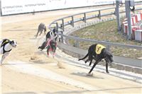 02_Chrti_dostihy_Greyhound_Racing_Park_Praha_Bookmakers_CuP_IMG_9887.jpg