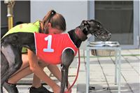 02_Chrti_dostihy_Greyhound_Racing_Park_Praha_Bookmakers_CuP_IMG_9895.jpg