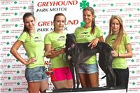 03_Chrti_dostihy_Greyhound_Racing_Park_Praha_Bookmakers_CuP_IMG_9937.jpg