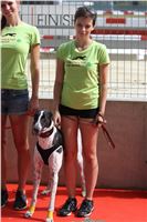 03_Chrti_dostihy_Greyhound_Racing_Park_Praha_Bookmakers_CuP_IMG_9989.jpg