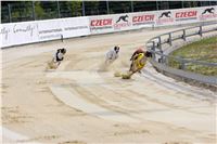 04_Chrti_dostihy_Greyhound_Racing_Park_Praha_Bookmakers_CuP_IMG_0024.jpg